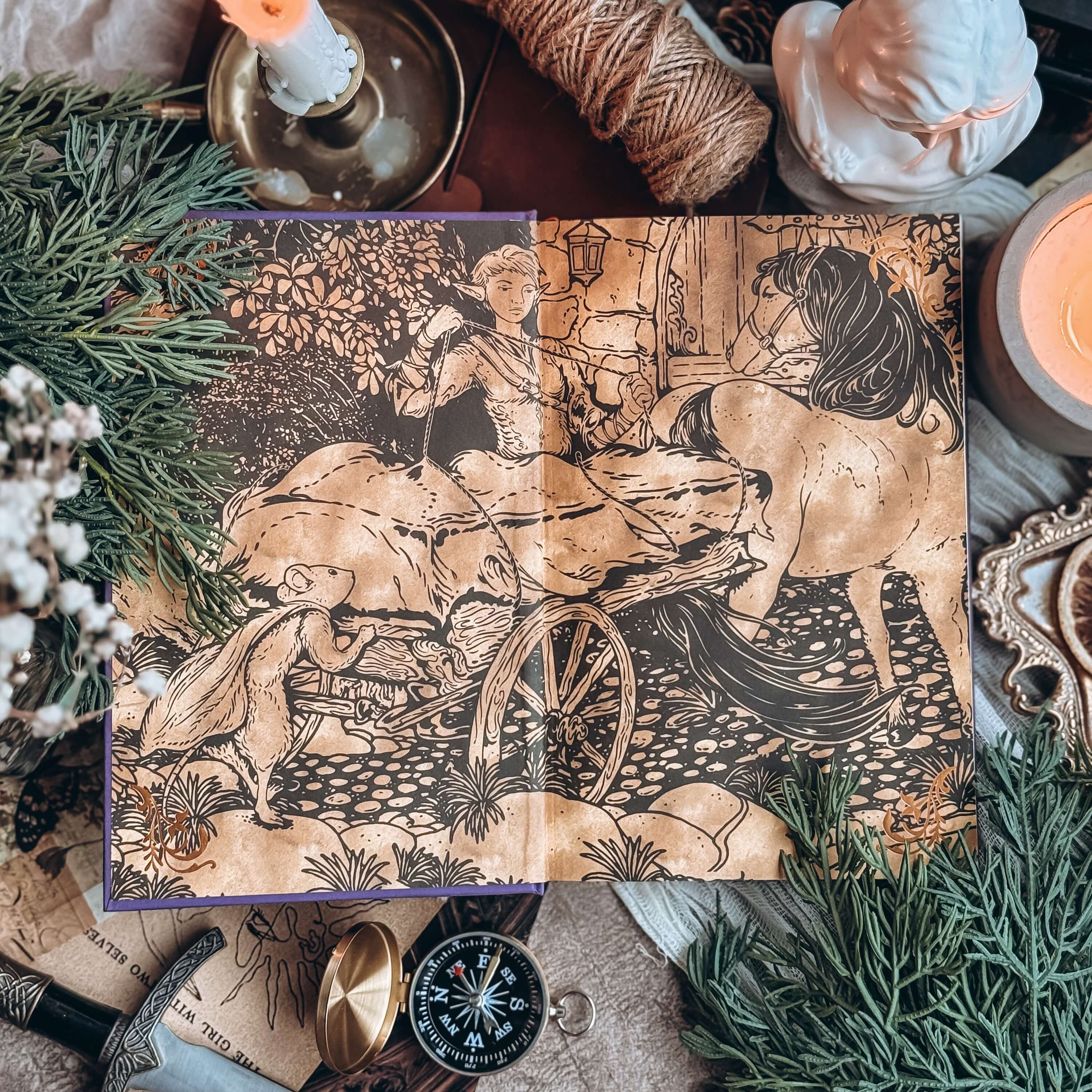 Brigands & Breadknives (Exclusive OwlCrate Edition) - Image 6