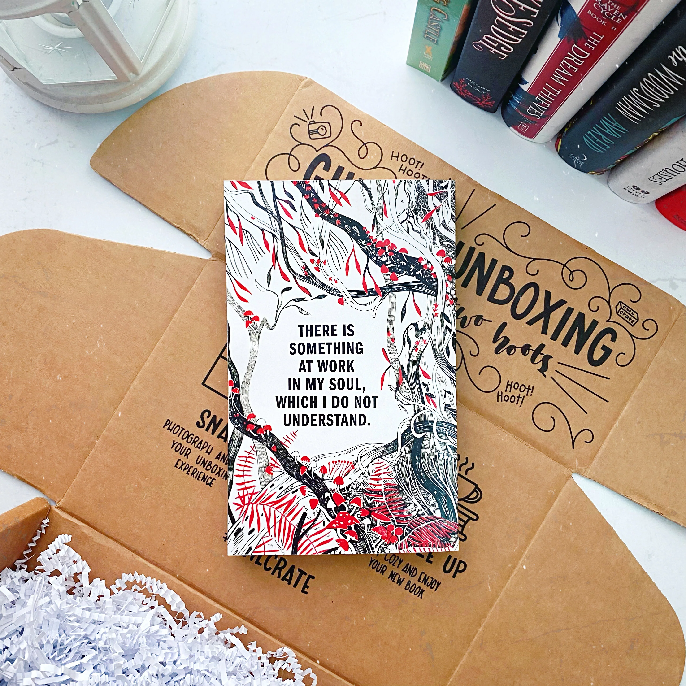 Frankenstein (Exclusive OwlCrate Edition) - Image 3