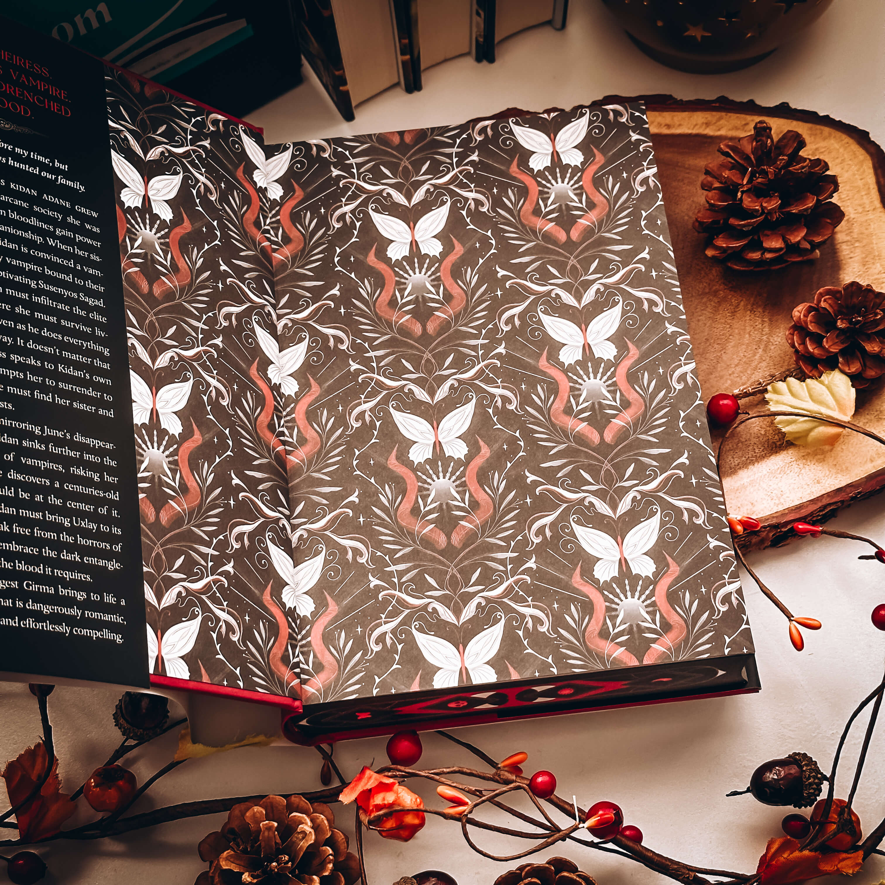 Immortal Dark (Exclusive OwlCrate Edition) - Image 3
