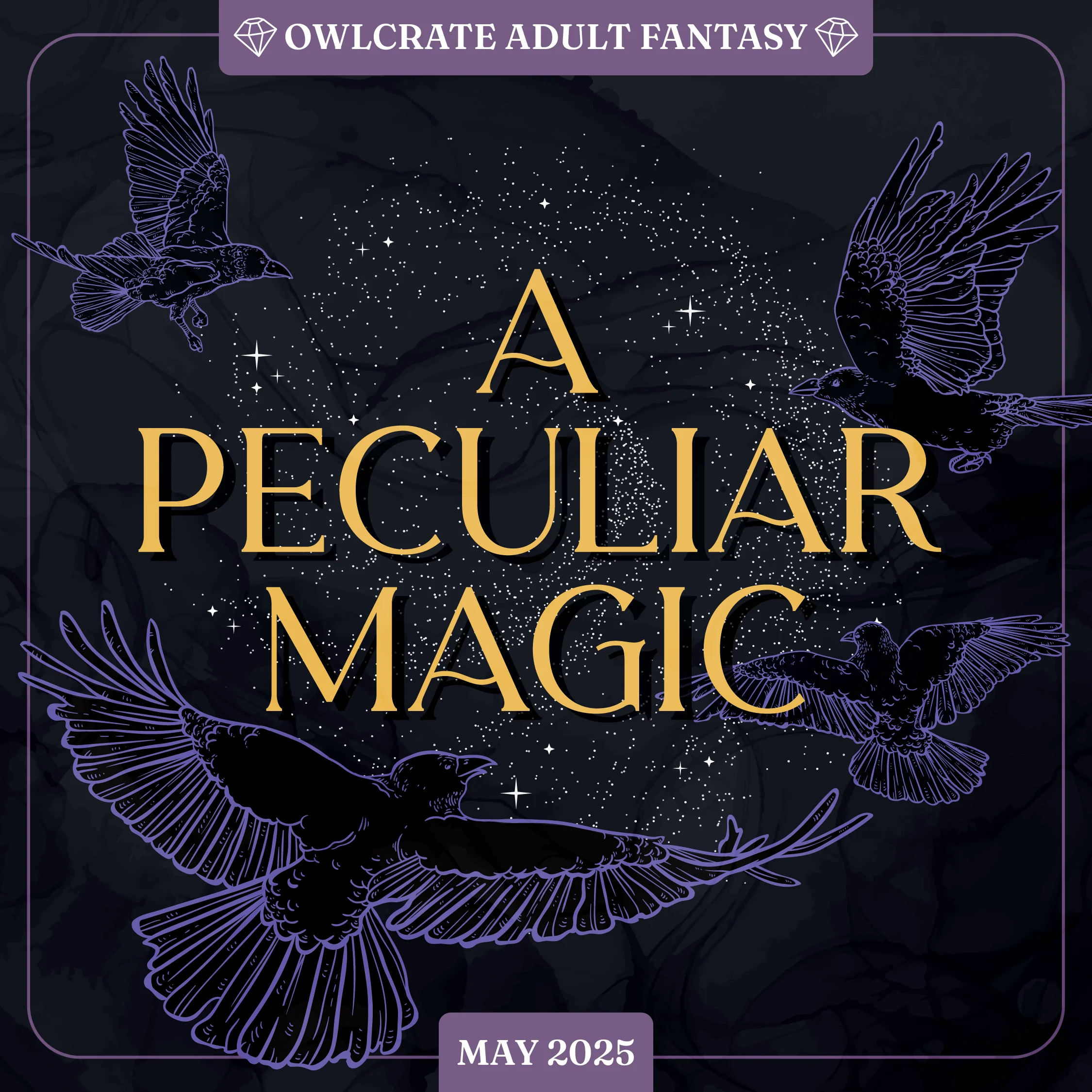 Modern Divination (Exclusive OwlCrate Edition) - Image 11