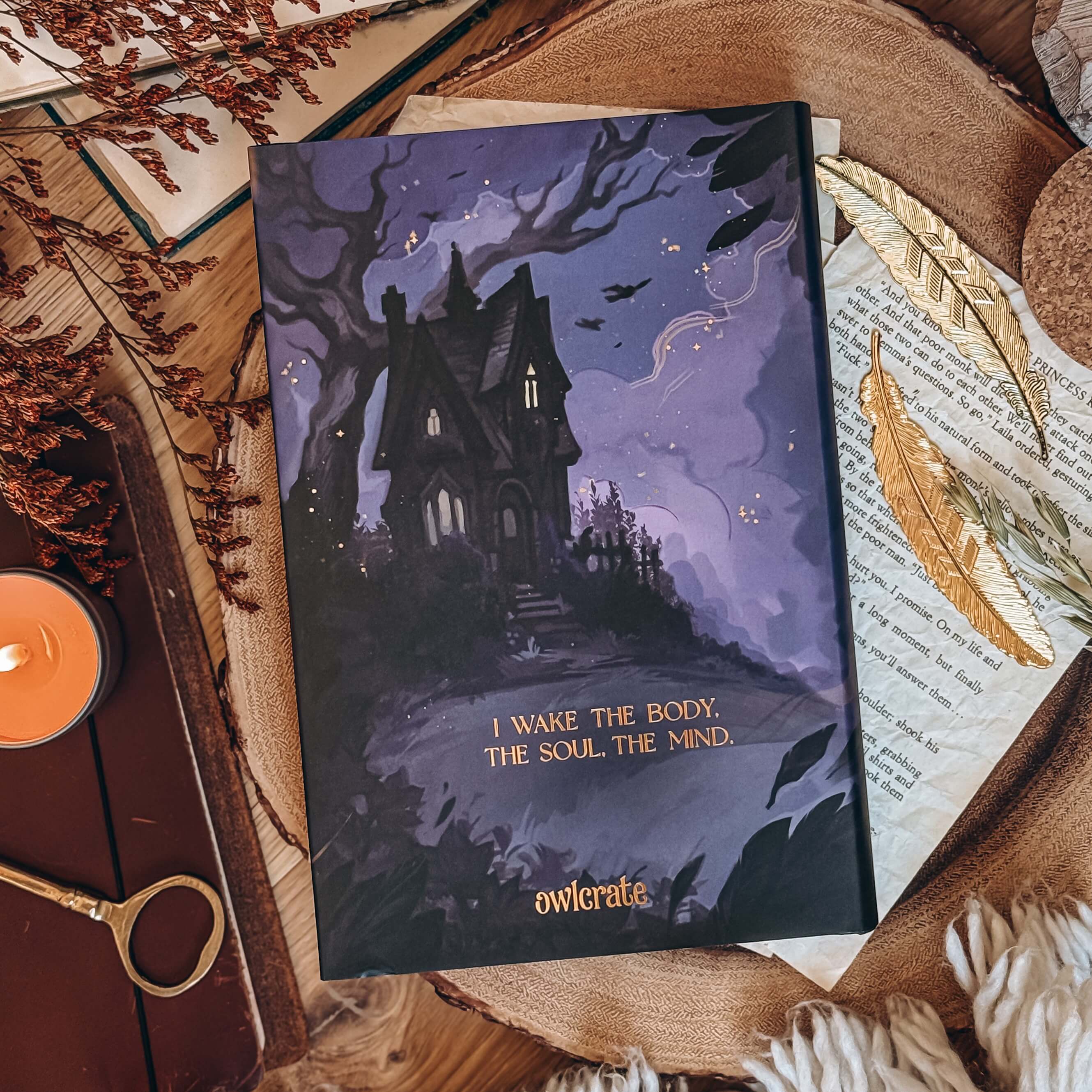 Modern Divination (Exclusive OwlCrate Edition) - Image 2