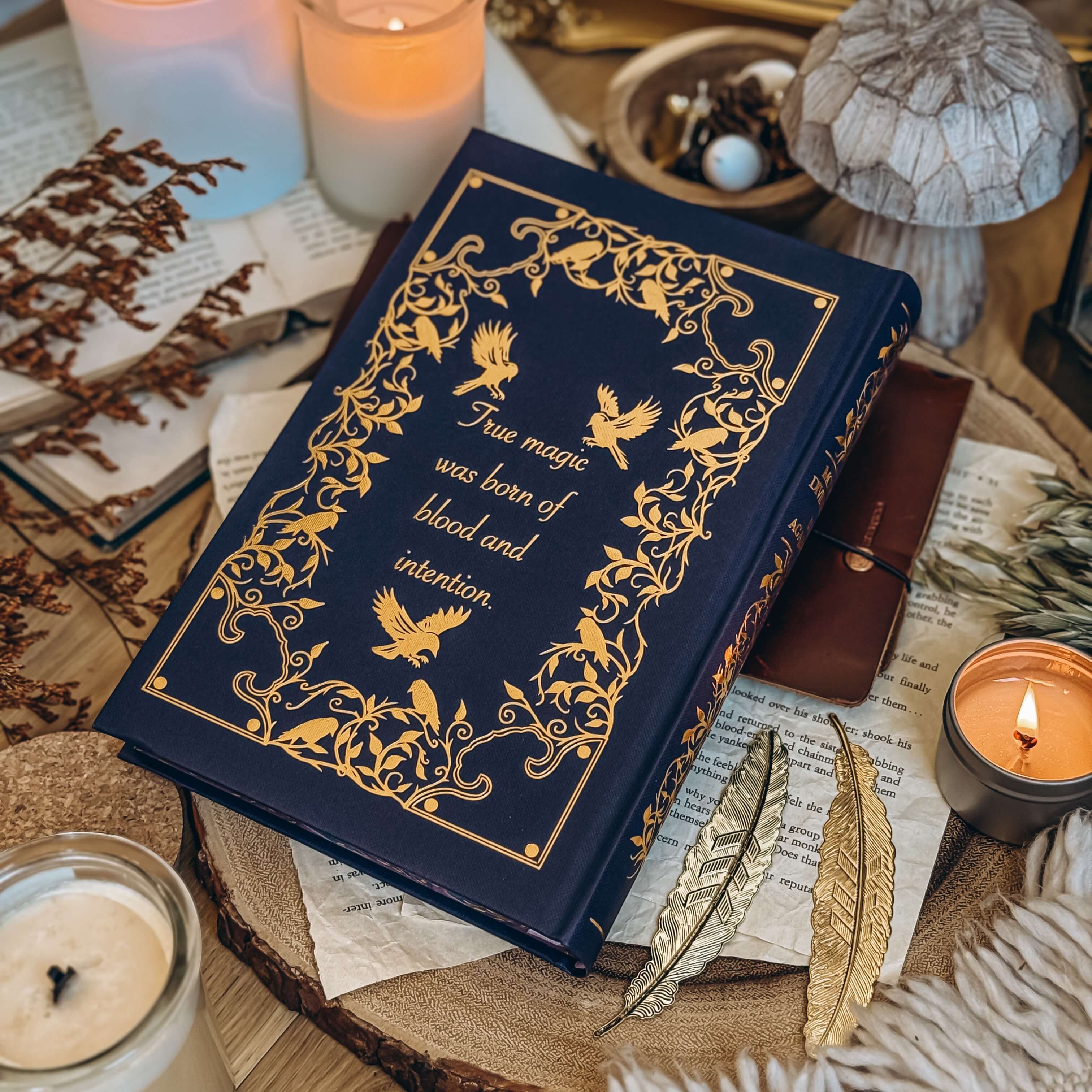 Modern Divination (Exclusive OwlCrate Edition) - Image 6
