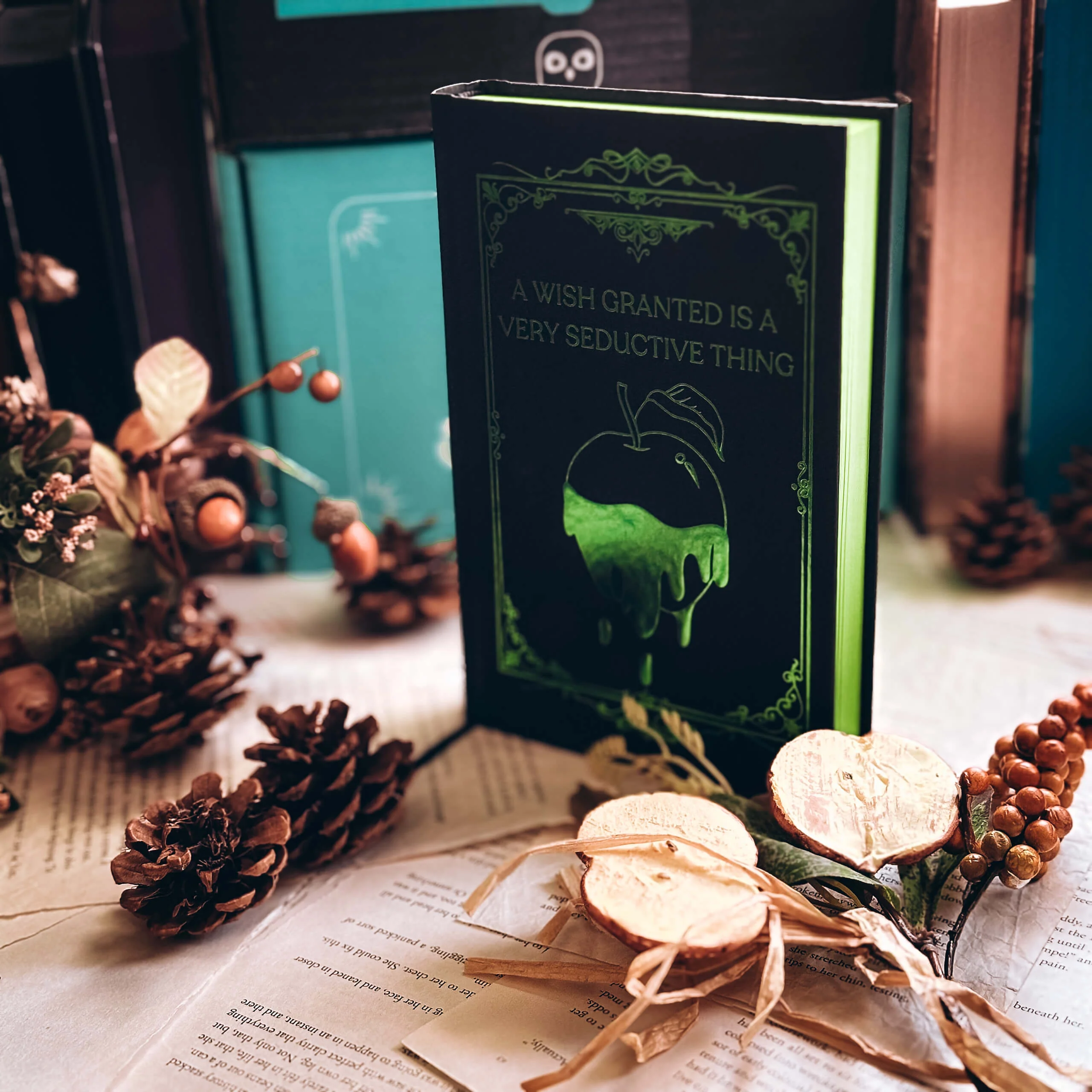 OwlCrate 'DARK REFLECTIONS' Box - Image 4