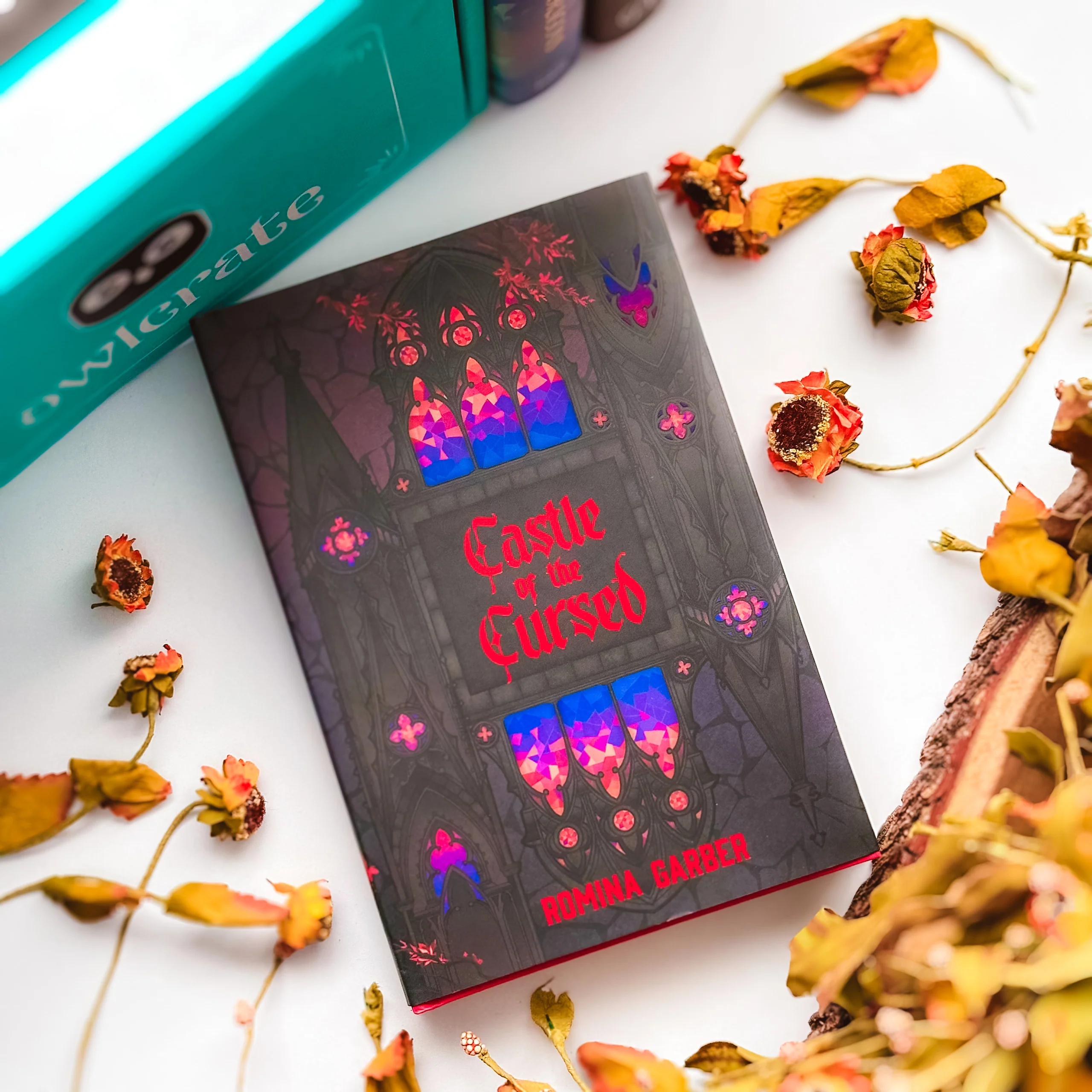 OwlCrate 'FALLING FOR THE DARK' Box - Image 2