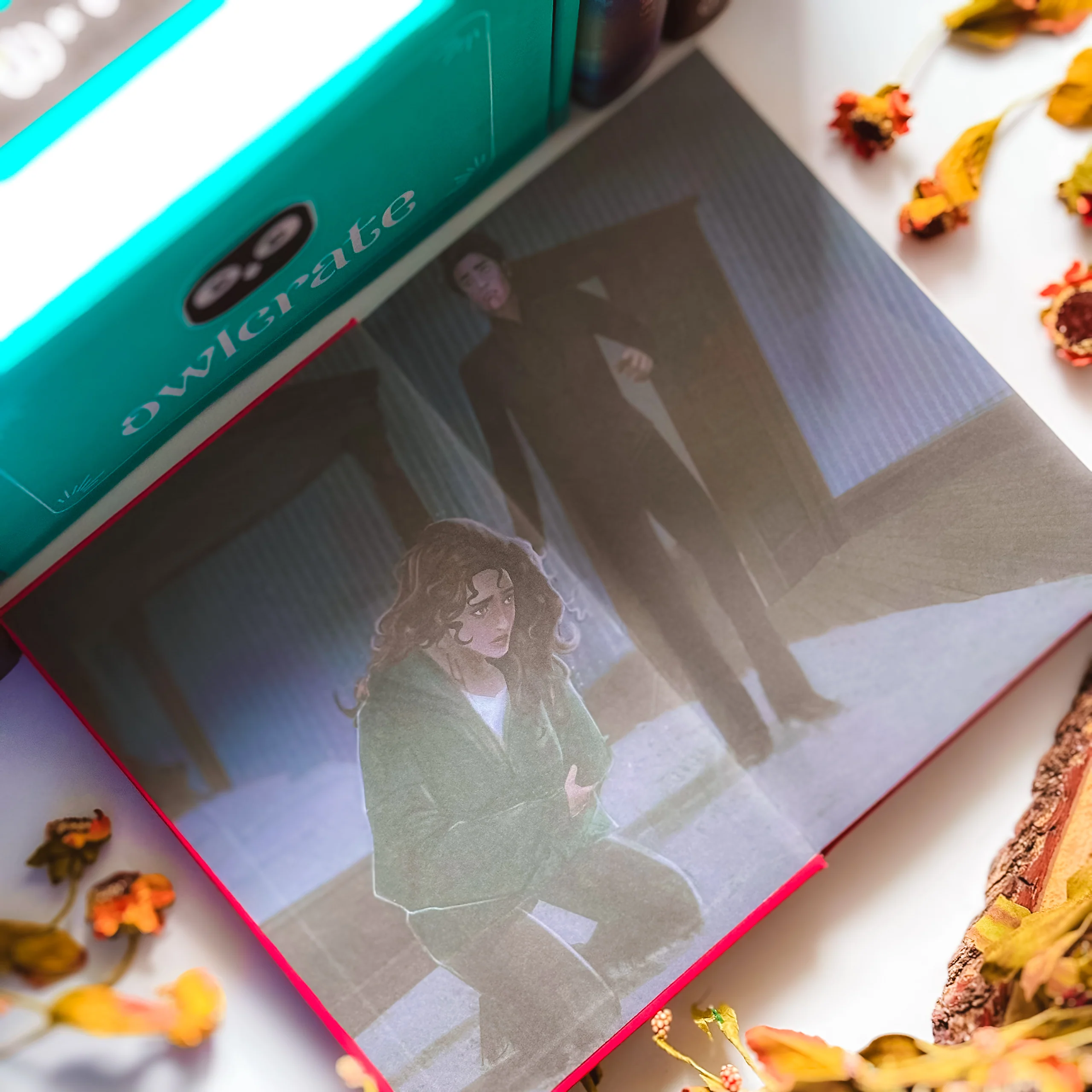 OwlCrate 'FALLING FOR THE DARK' Box - Image 4