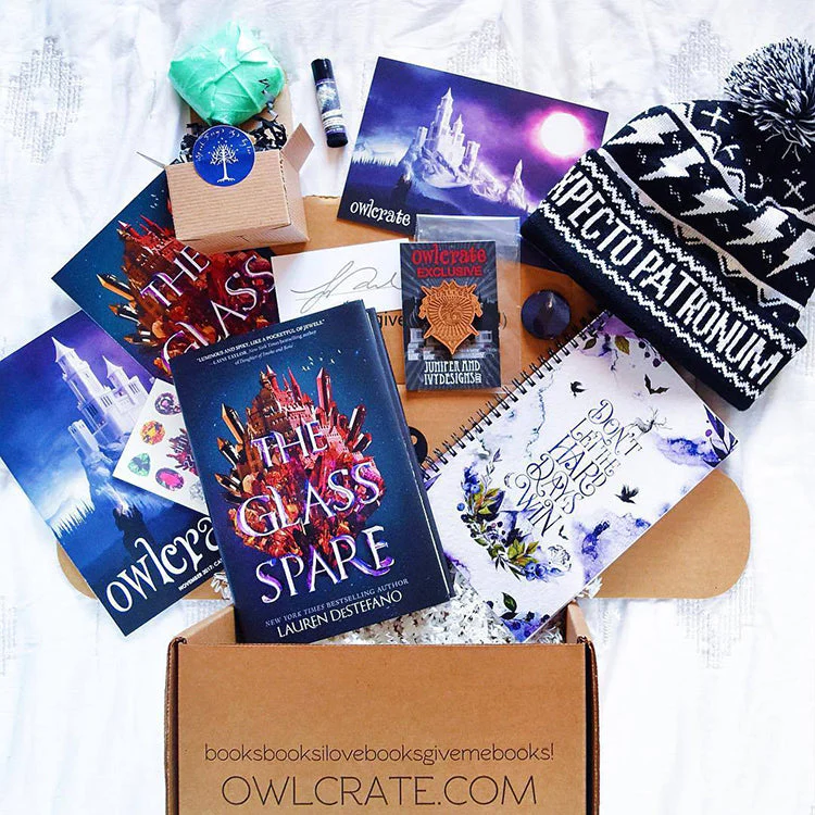 OwlCrate November 2017 ‘CASTLES, COURTS & KINGDOMS’ Box