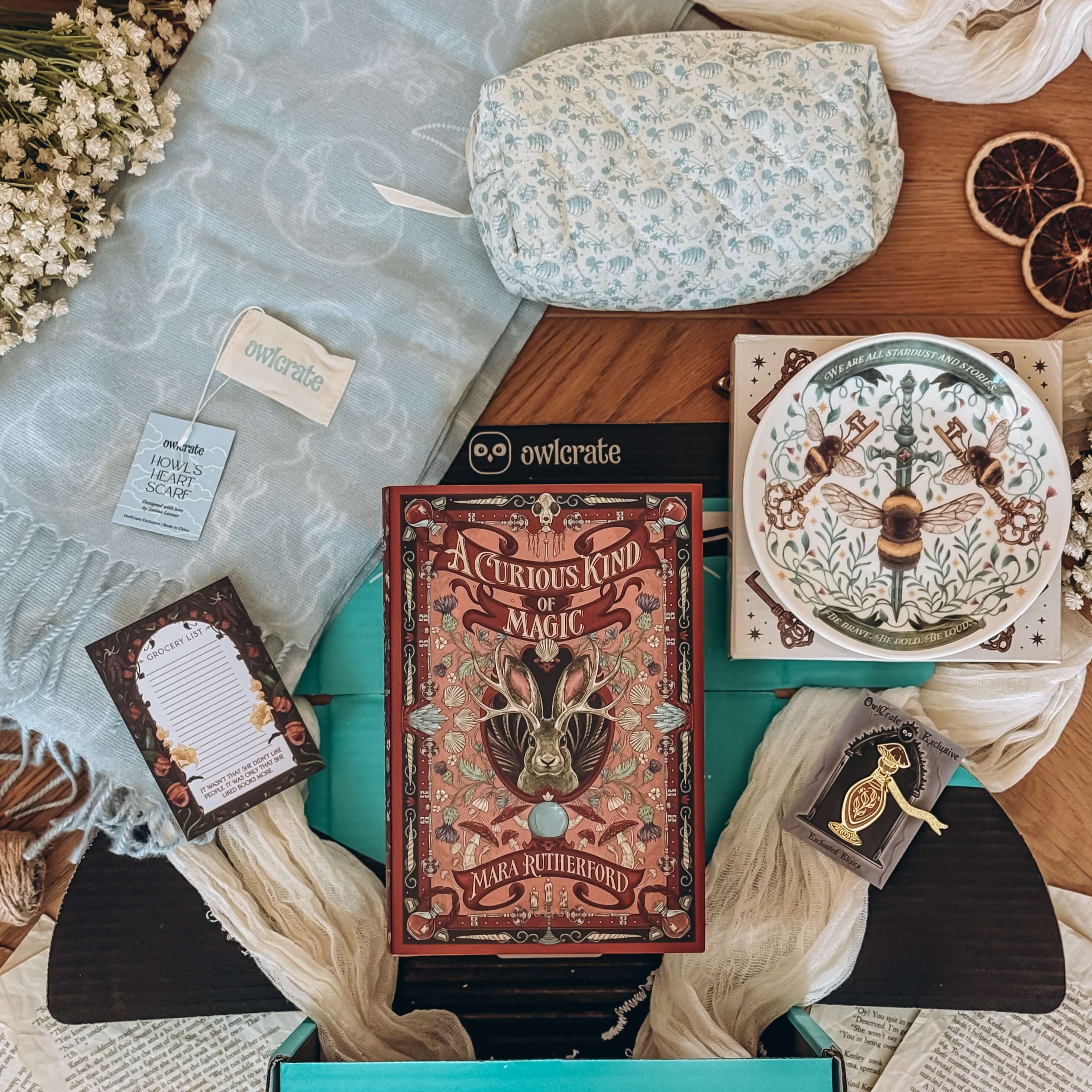 OwlCrate YA ‘A COMPENDIUM OF CURIOSITIES’ Box