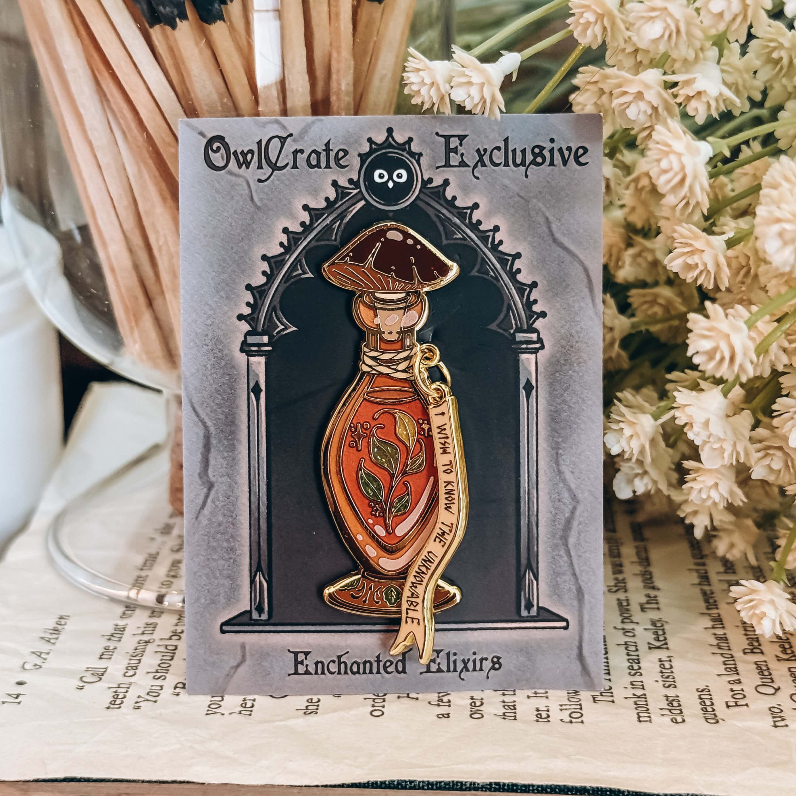 OwlCrate YA ‘A COMPENDIUM OF CURIOSITIES’ Box - Image 11