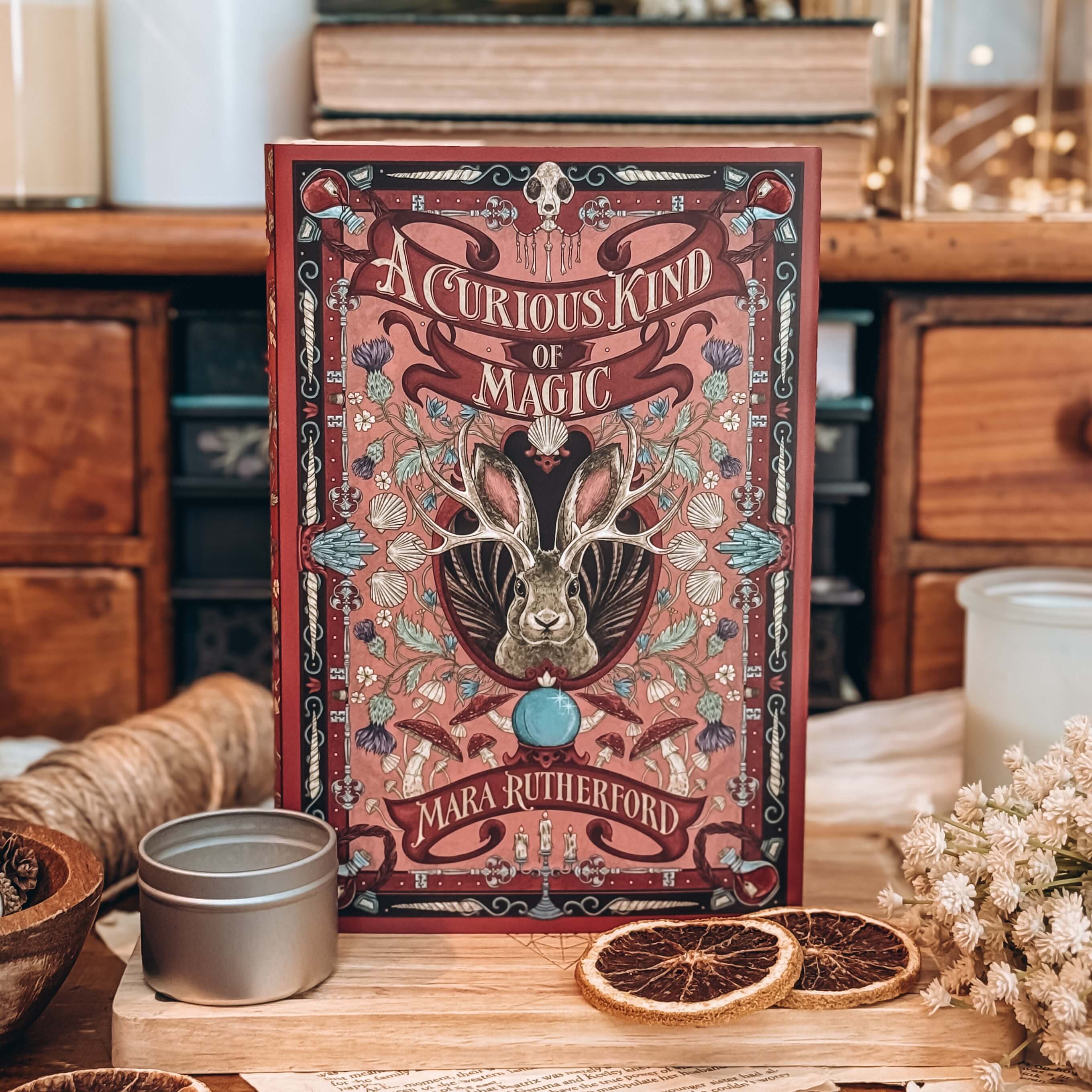 OwlCrate YA ‘A COMPENDIUM OF CURIOSITIES’ Box - Image 2