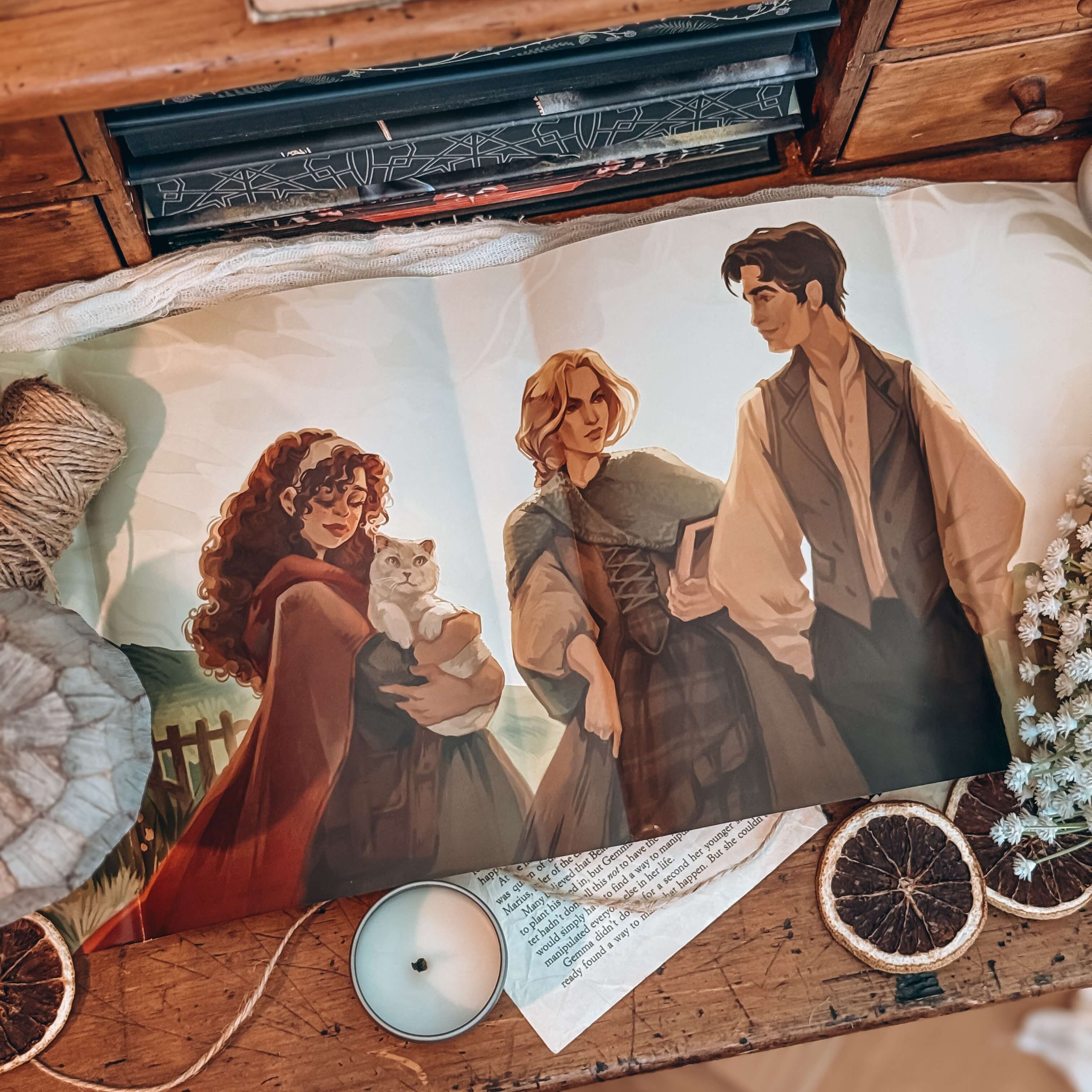 OwlCrate YA ‘A COMPENDIUM OF CURIOSITIES’ Box - Image 3