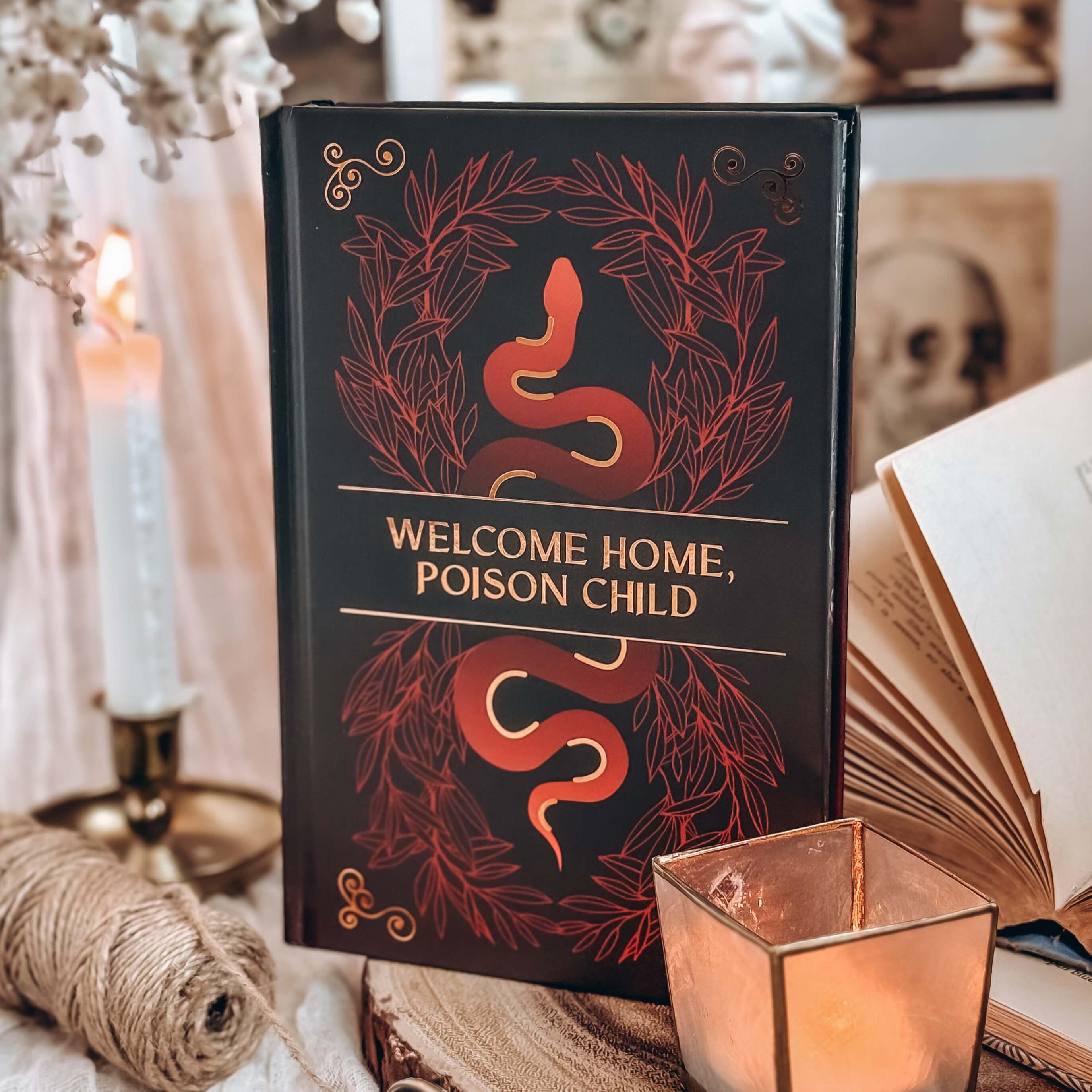 OwlCrate YA ‘DANGEROUS GODS AND BEAUTIFUL MONSTERS’ Box - Image 5