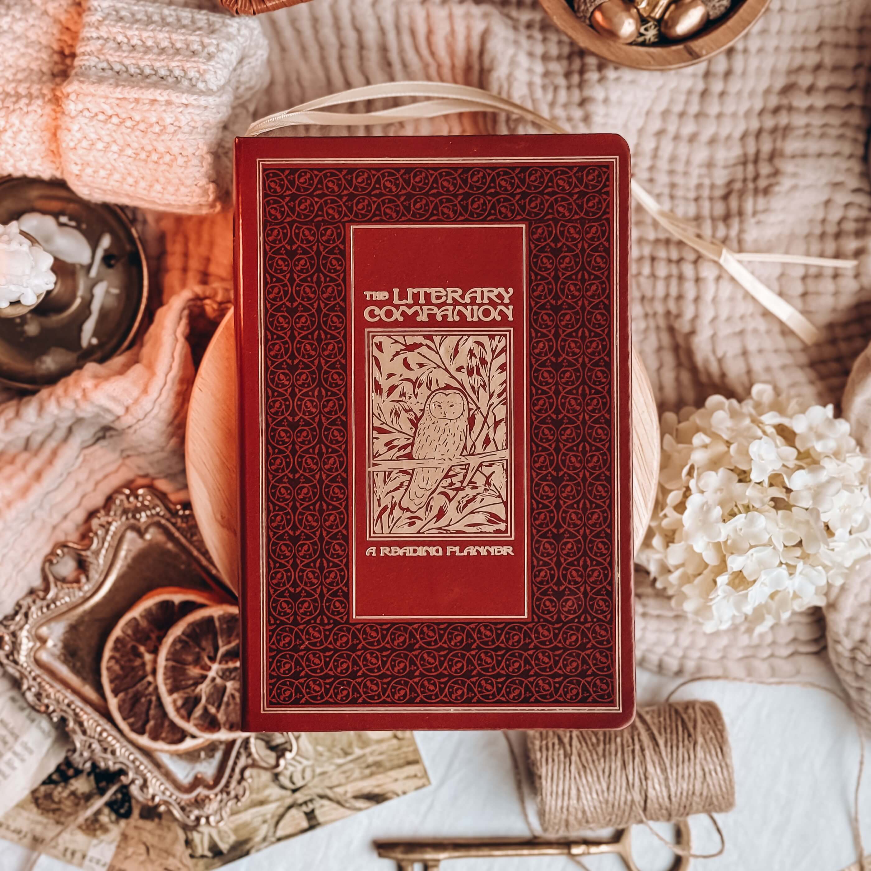 OwlCrate YA ‘GHOSTLY ILLUSIONS’ Box - Image 7