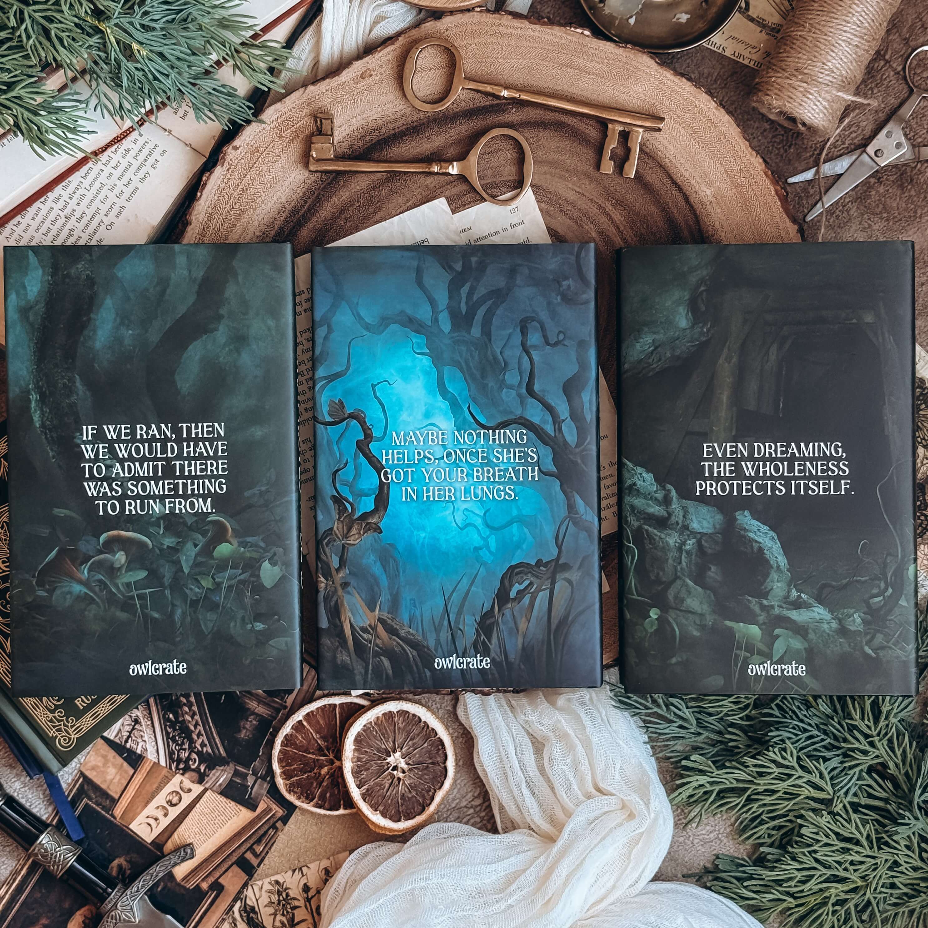 Sworn Soldier Set (Exclusive OwlCrate Editions) - Image 2